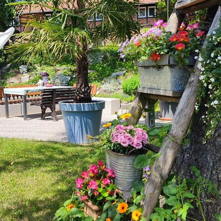 Apartment Im Gruenen Mit Anbindung Ans Zentrum Erfurt Bagian luar foto