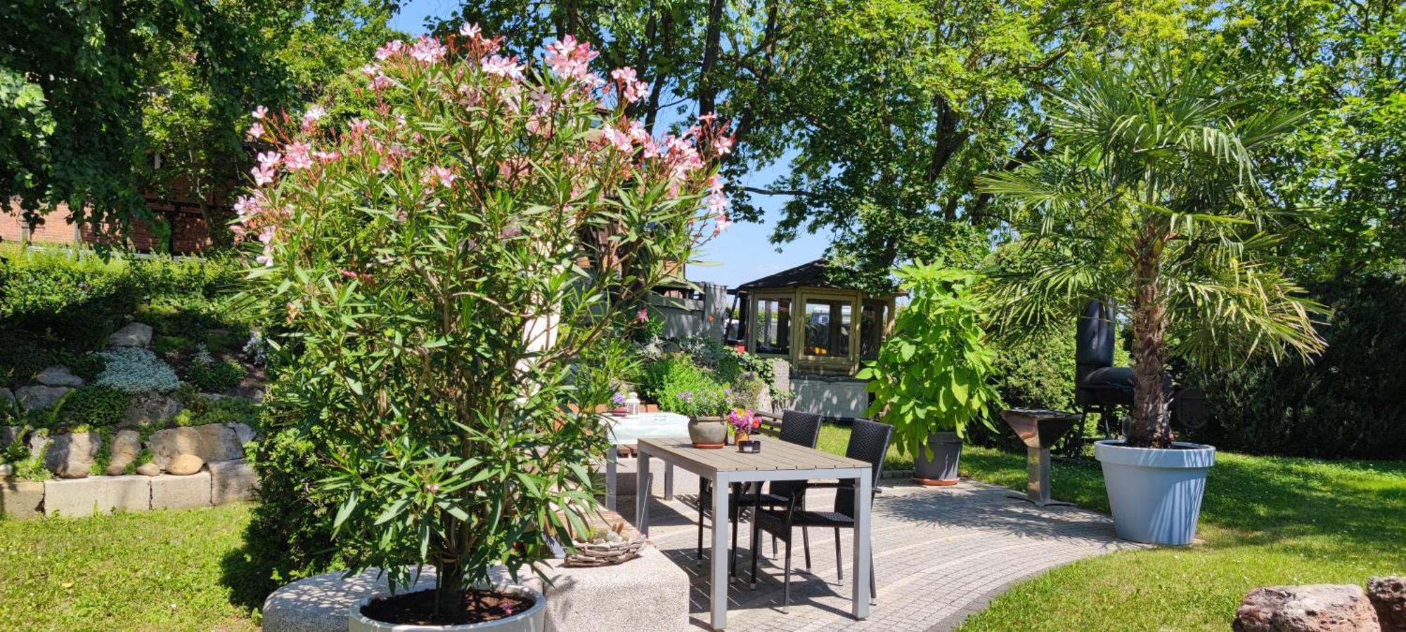 Apartment Im Gruenen Mit Anbindung Ans Zentrum Erfurt Bagian luar foto